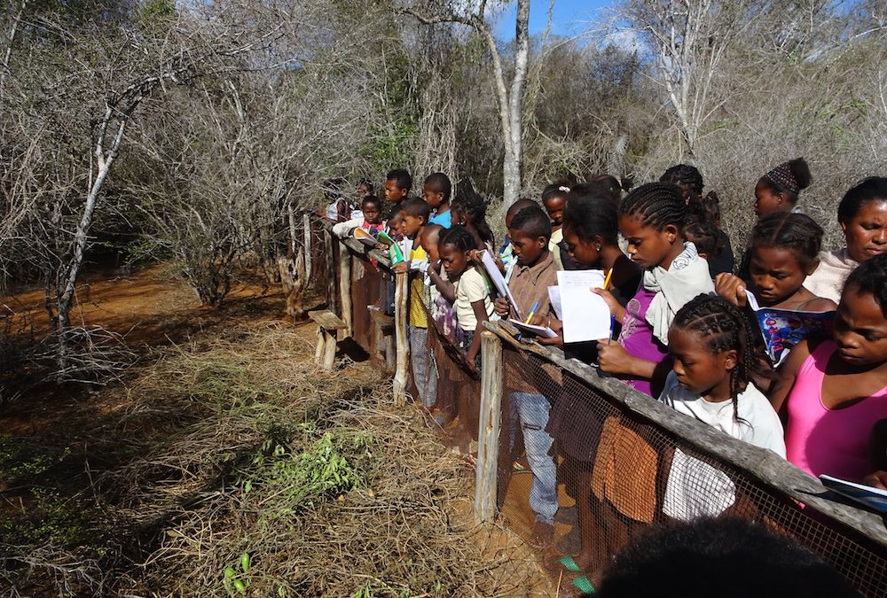 Des enfants d’Antsihanaka apprennent à devenir de bons éco-citoyens