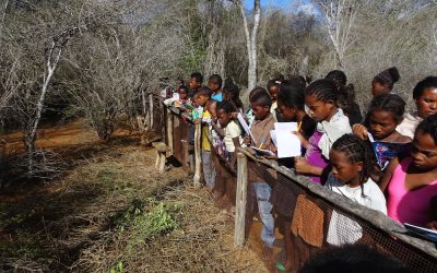 Des enfants d’Antsihanaka apprennent à devenir de bons éco-citoyens